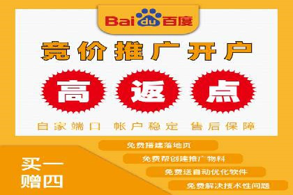 竞价排名在搜索引擎营销中的运用案例
